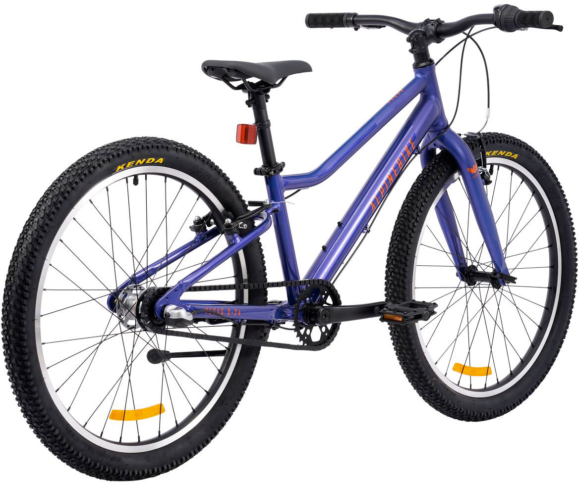 Купить ALPINEBIKE Pegas 3-24 2026