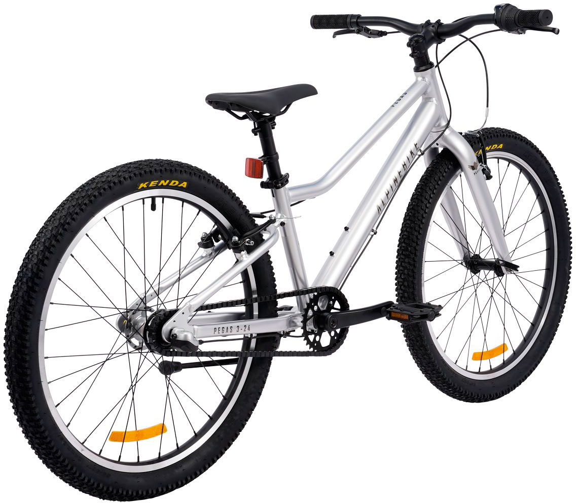 Купить ALPINEBIKE Pegas 3-24 2026