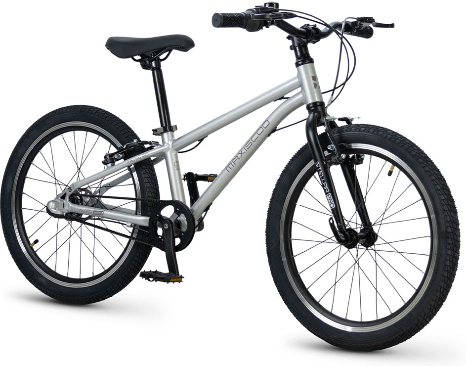 Купить MAXISCOO Stellar Pro 20 2026