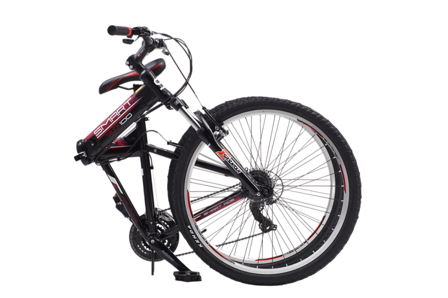 Купить SMART BIKES Truck 100 2015