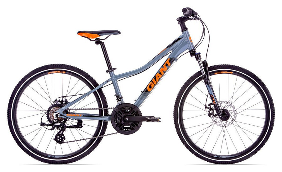 Купить GIANT XTC Jr Disc 24 2020